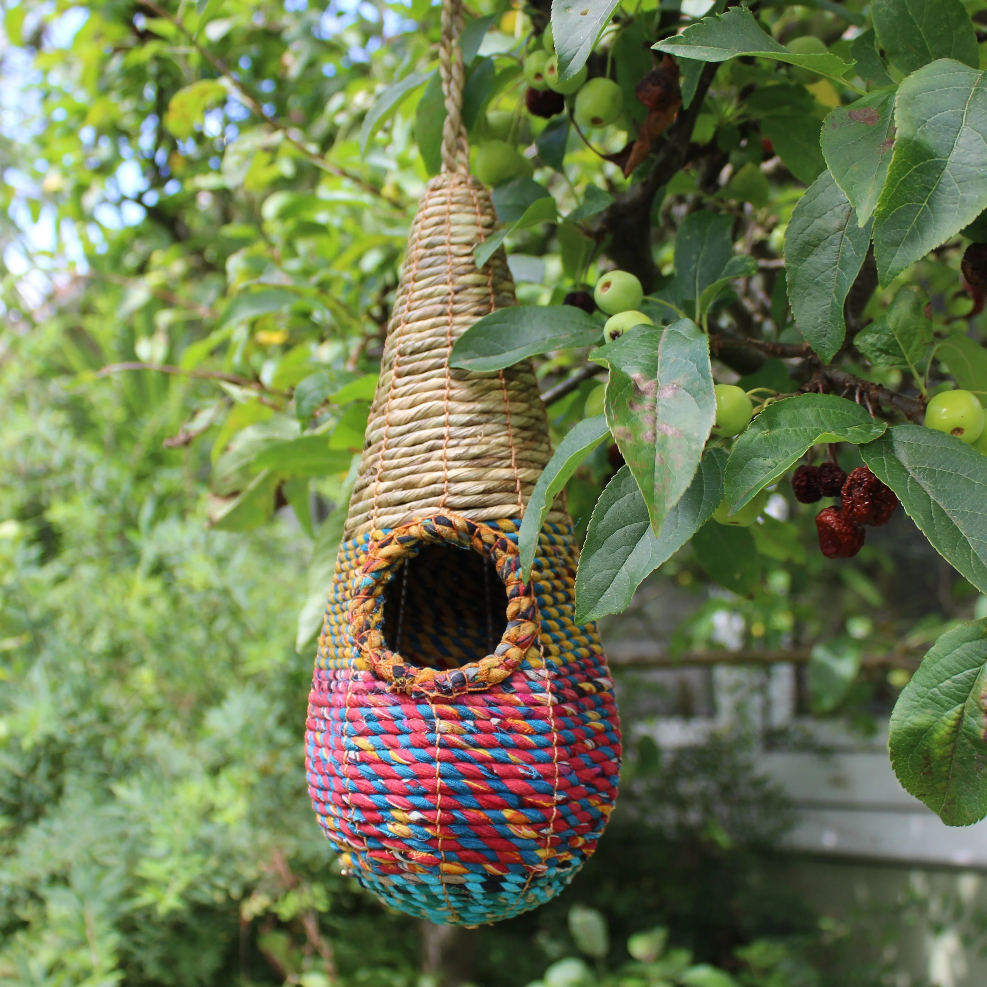 Artisan Wild Bird Nester - Tahera - Image 8