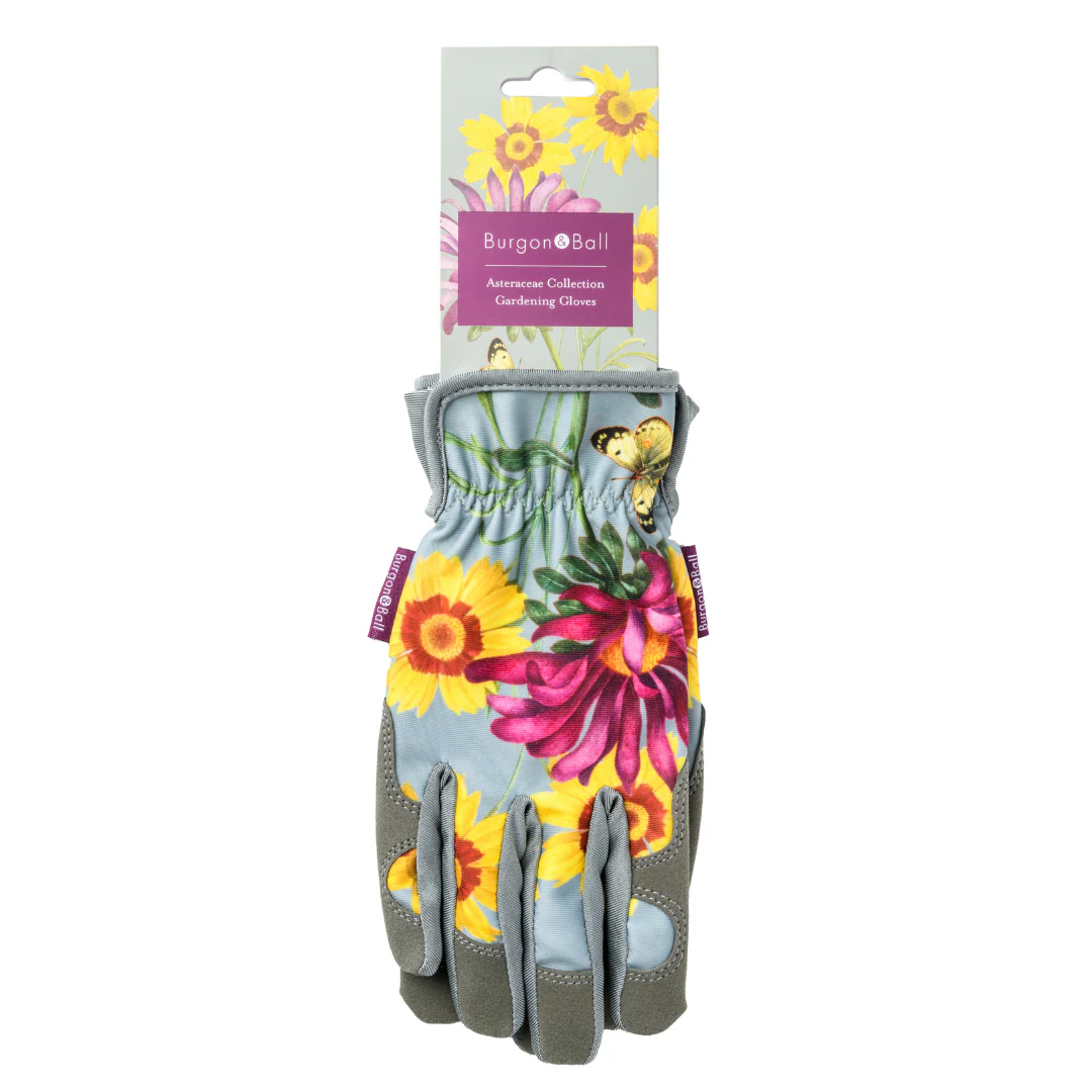 Asteraceae | Gloves - Image 2