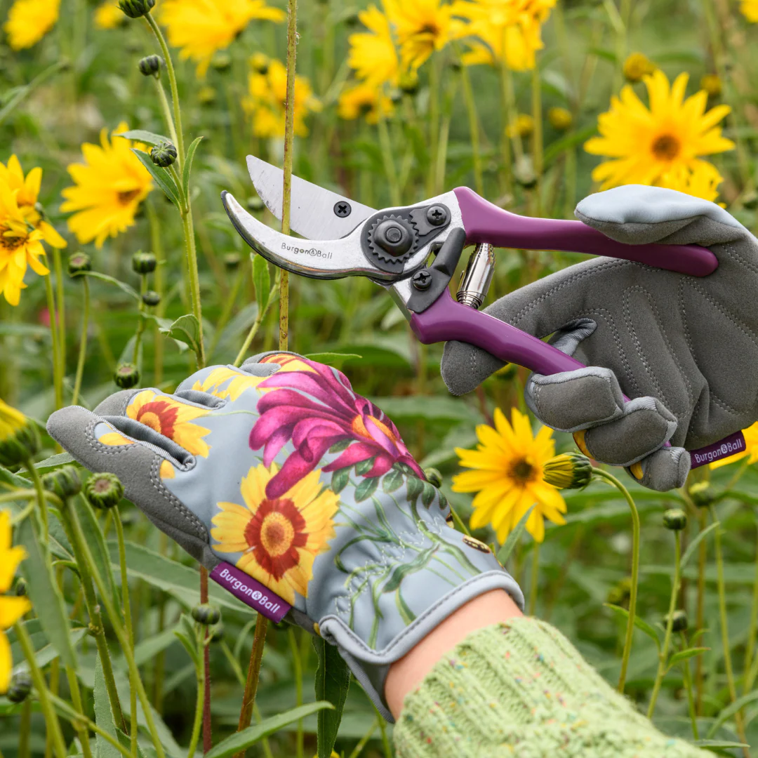 Asteraceae | Gloves - Image 3