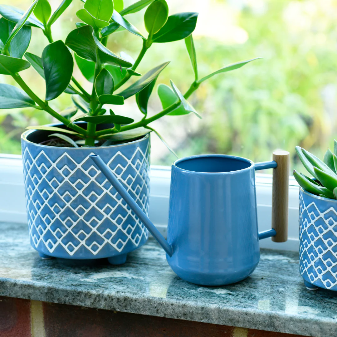 Blue | 0.7 Litre Indoor Watering Can - Image 3