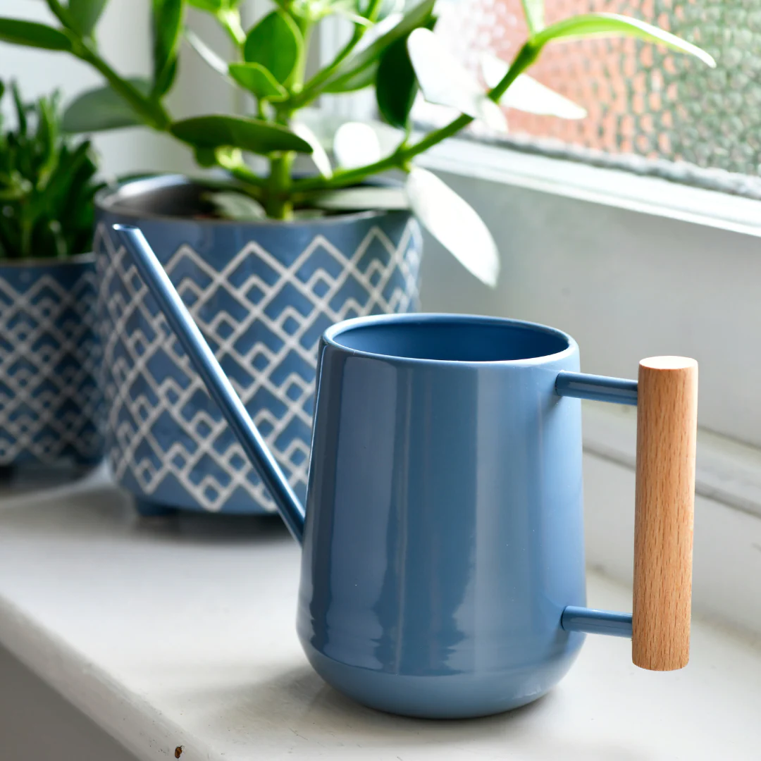Blue | 0.7 Litre Indoor Watering Can - Image 4