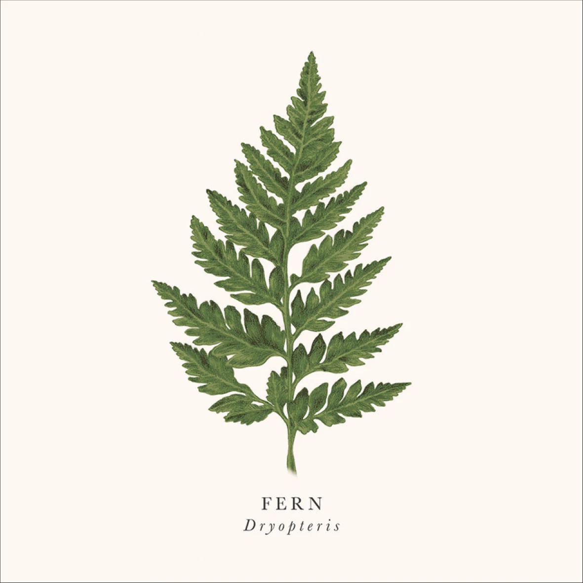 Botanical designs set of 6 greeting cards - Image 2