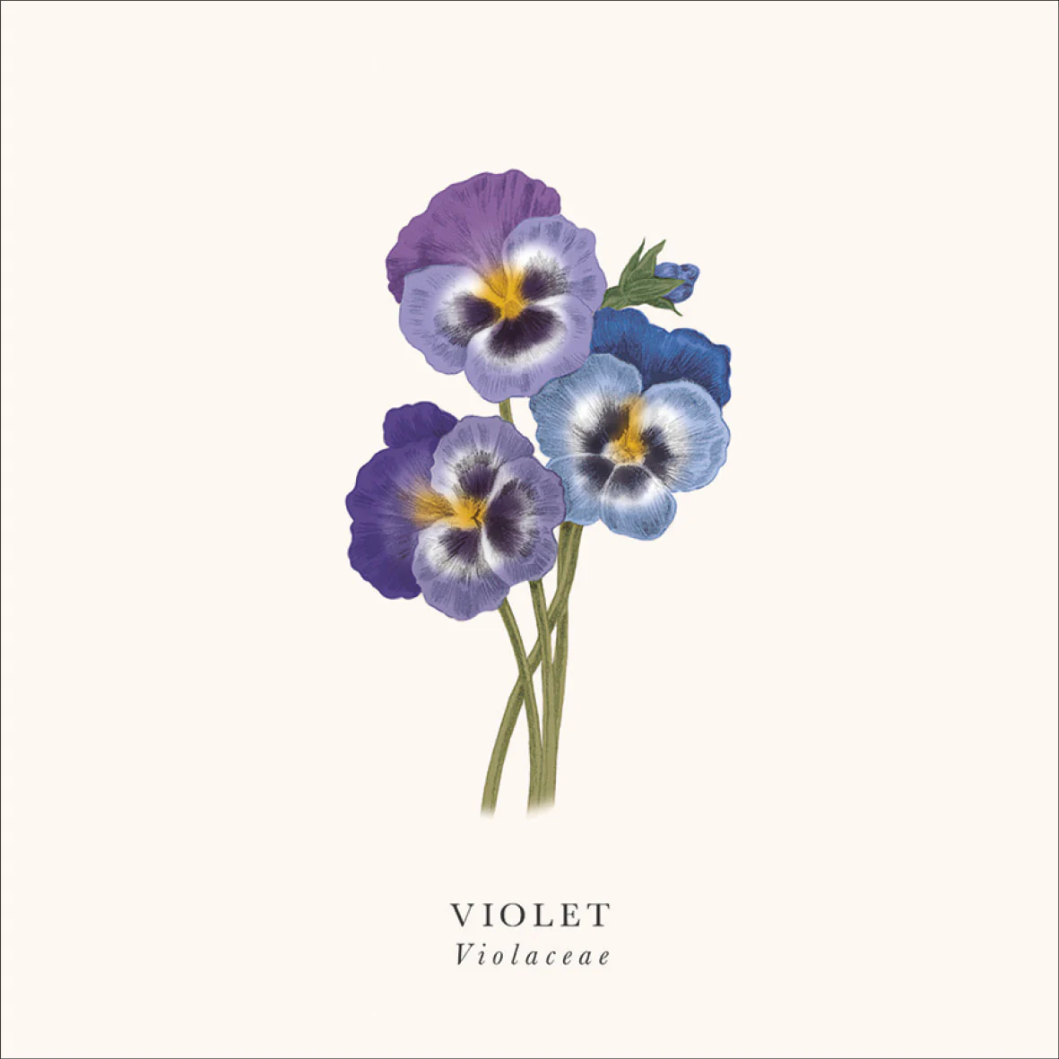 Botanical designs set of 6 greeting cards - Image 5