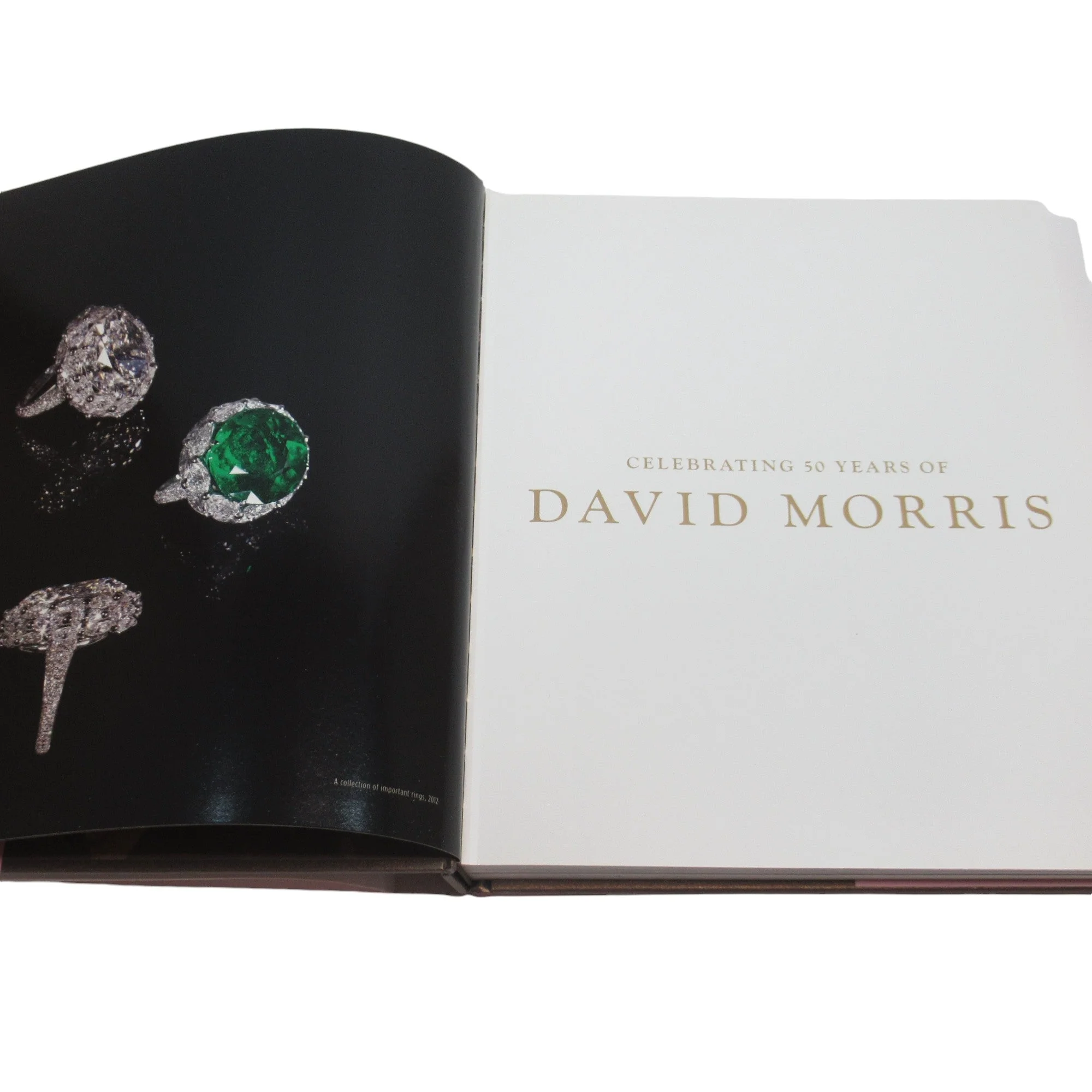 Celebrating 50 Years of David Morris 2012 Hardcover | Preloved - Image 4