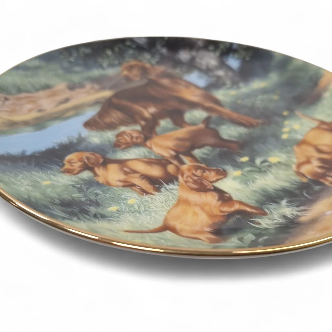 Classic Sporting Dogs Irish Setters Collector Plate | Preloved - Image 3