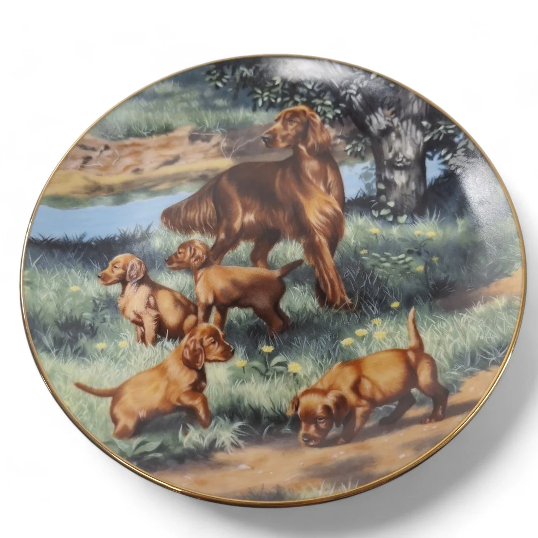 Classic Sporting Dogs Irish Setters Collector Plate | Preloved - Image 5
