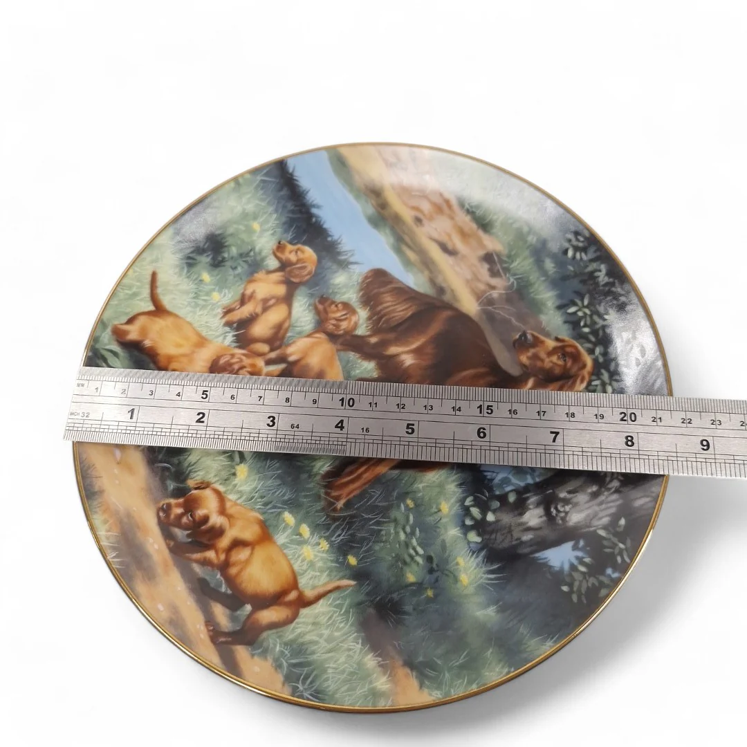 Classic Sporting Dogs Irish Setters Collector Plate | Preloved - Image 6