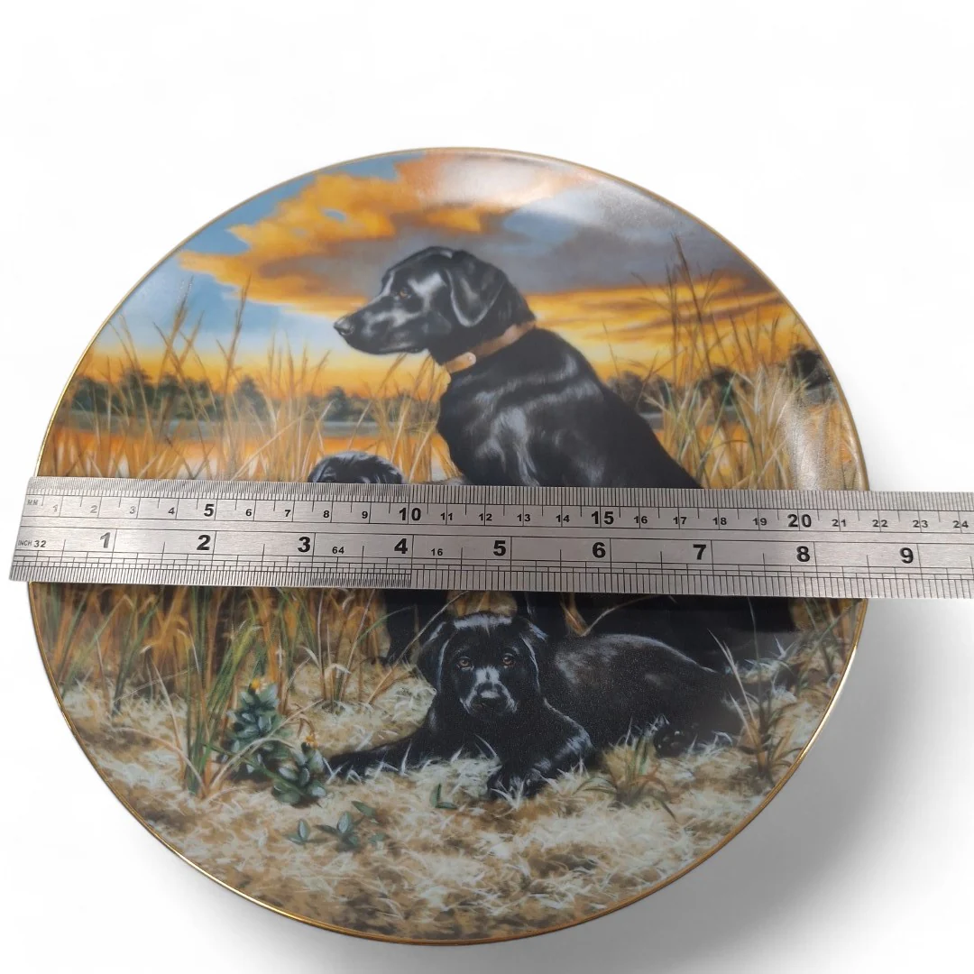 Classic Sporting Dogs Labrador Retrievers Collector Plate | Preloved - Image 2