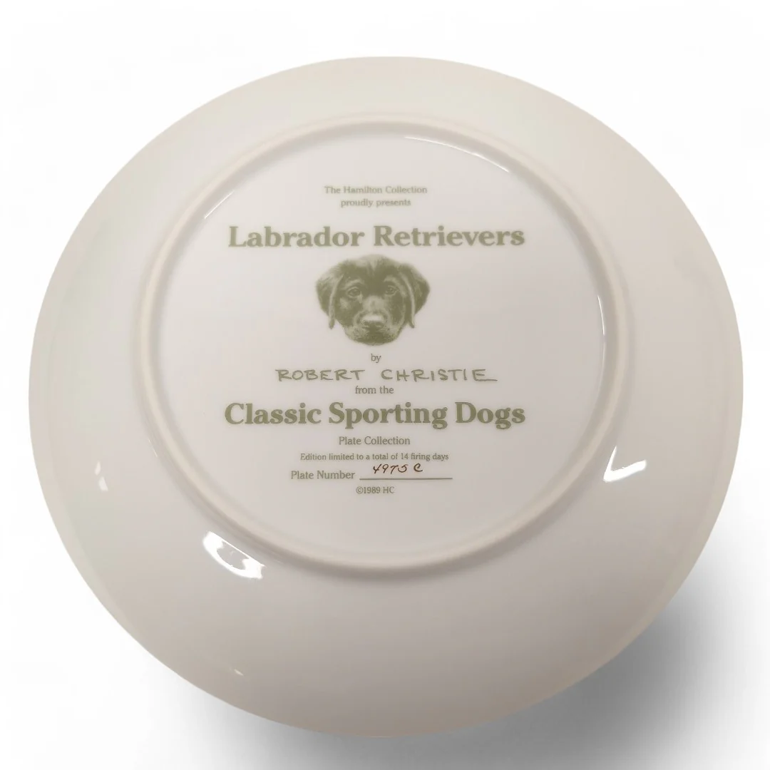 Classic Sporting Dogs Labrador Retrievers Collector Plate | Preloved - Image 3