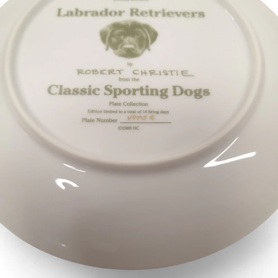 Classic Sporting Dogs Labrador Retrievers Collector Plate | Preloved - Image 4