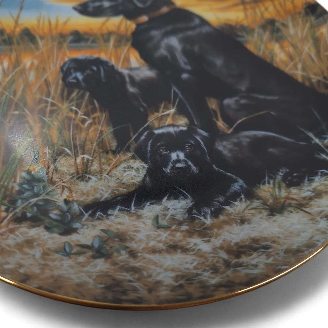 Classic Sporting Dogs Labrador Retrievers Collector Plate | Preloved - Image 5