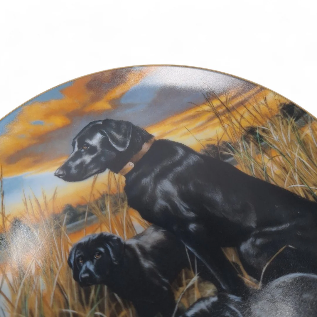 Classic Sporting Dogs Labrador Retrievers Collector Plate | Preloved - Image 6