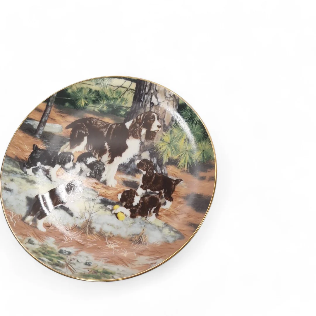 Classic Sporting Dogs Springer Spaniels Collector Plate | Preloved - Image 2