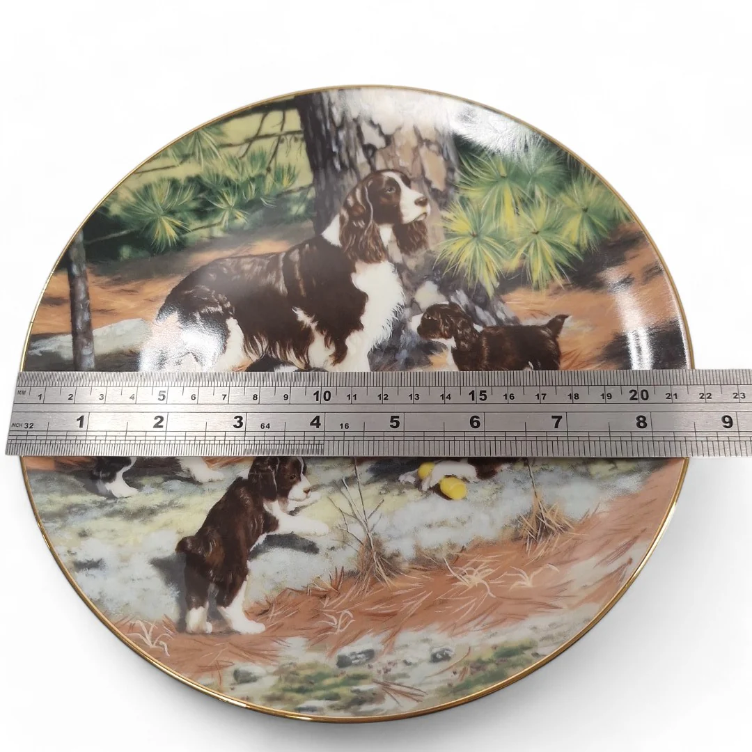 Classic Sporting Dogs Springer Spaniels Collector Plate | Preloved - Image 3