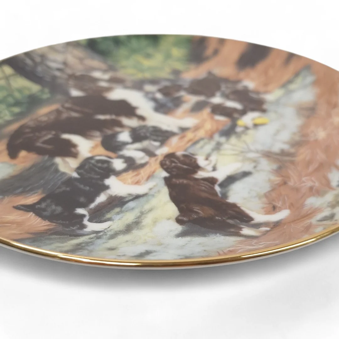 Classic Sporting Dogs Springer Spaniels Collector Plate | Preloved - Image 6