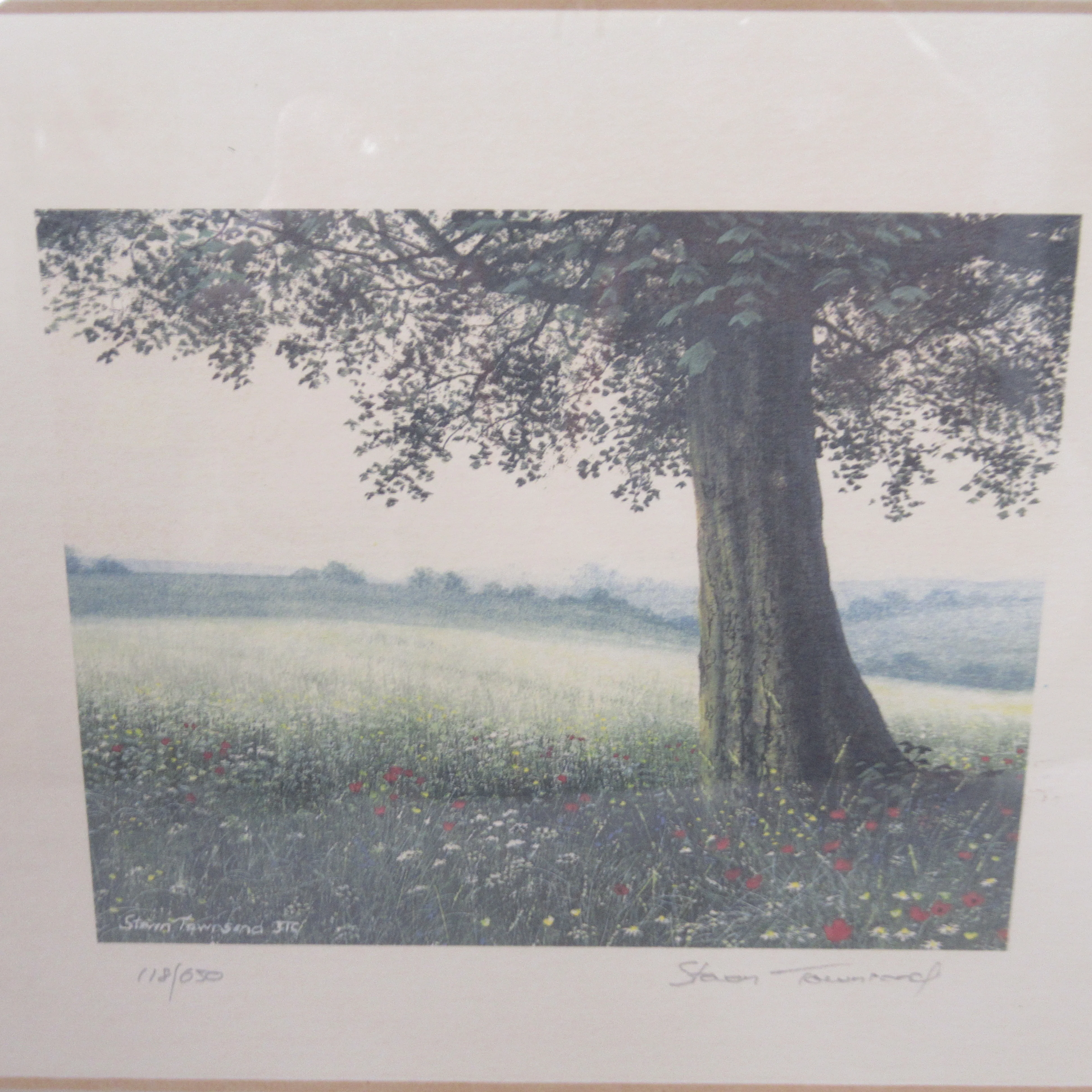 Steven Townsend Landscape Art Print 118/650 Framed L1 | Pre-Loved - Image 2