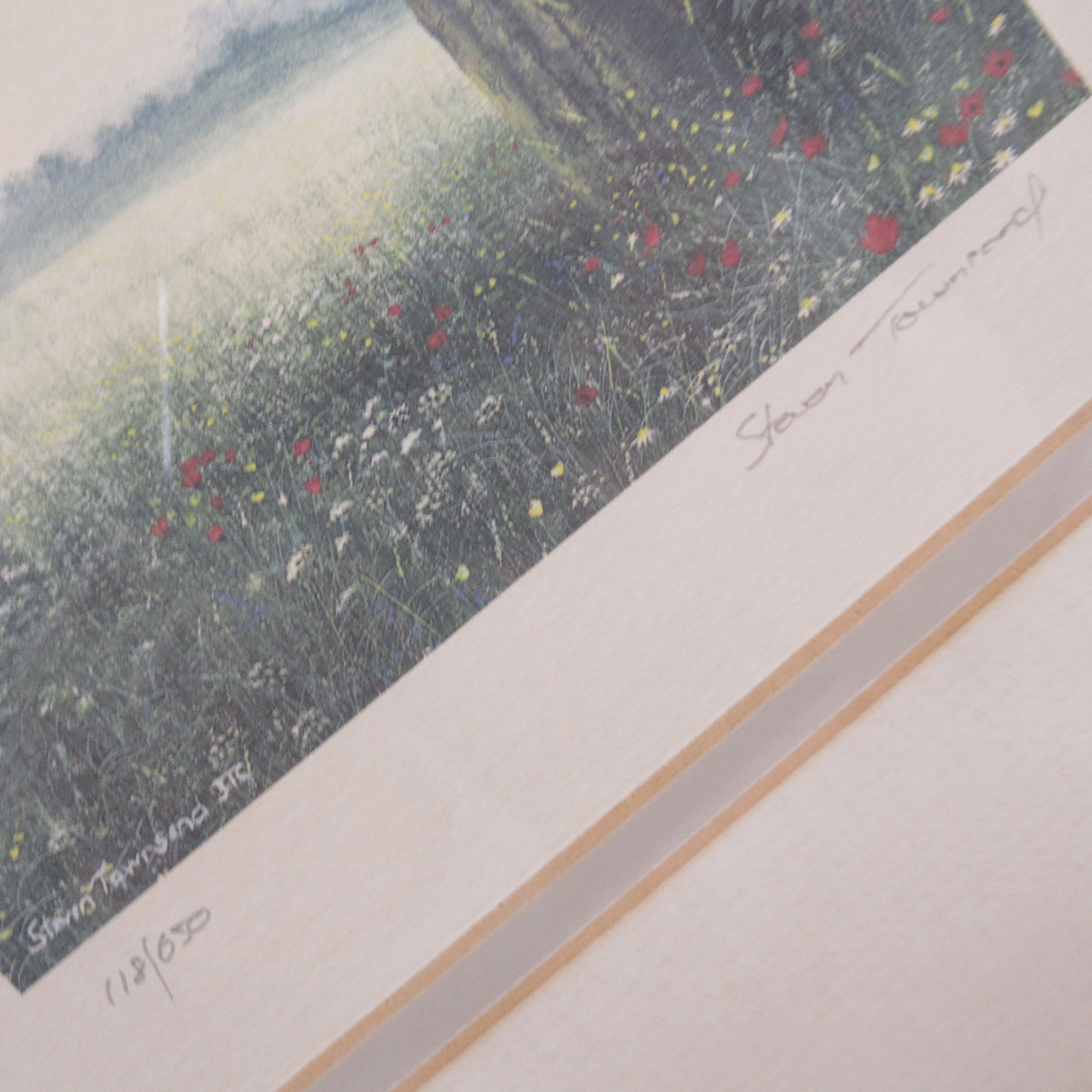 Steven Townsend Landscape Art Print 118/650 Framed L1 | Pre-Loved - Image 3