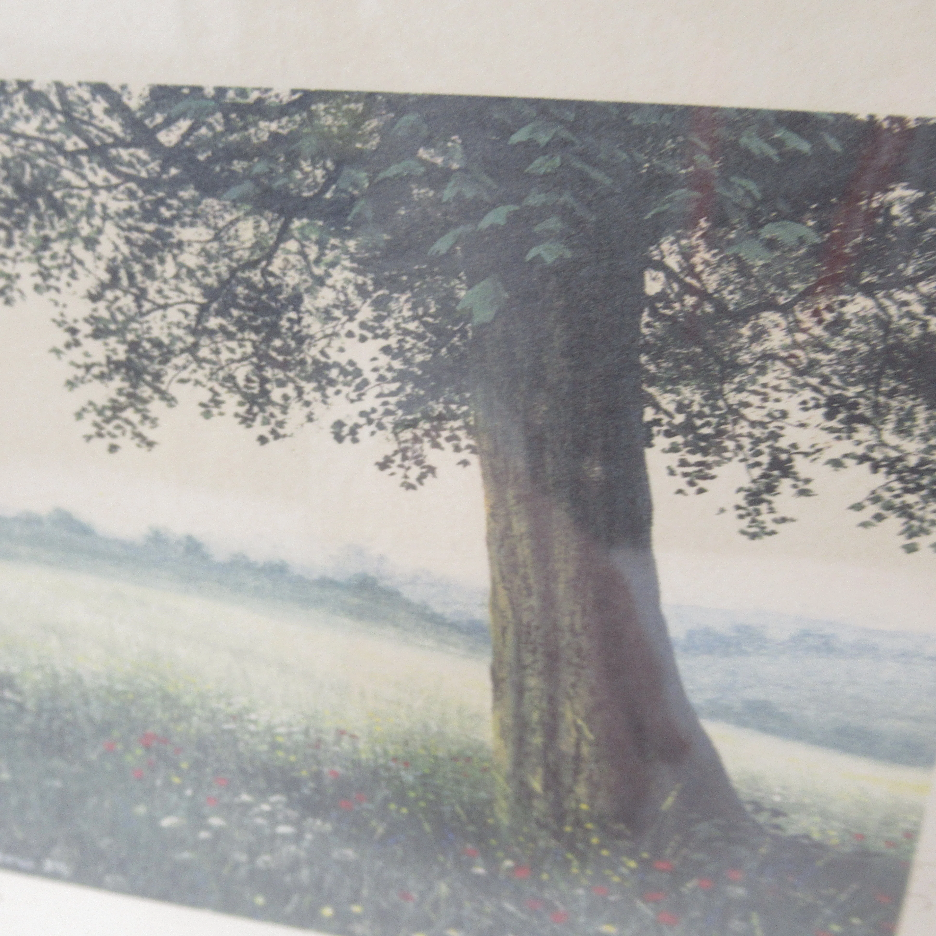 Steven Townsend Landscape Art Print 118/650 Framed L1 | Pre-Loved - Image 4