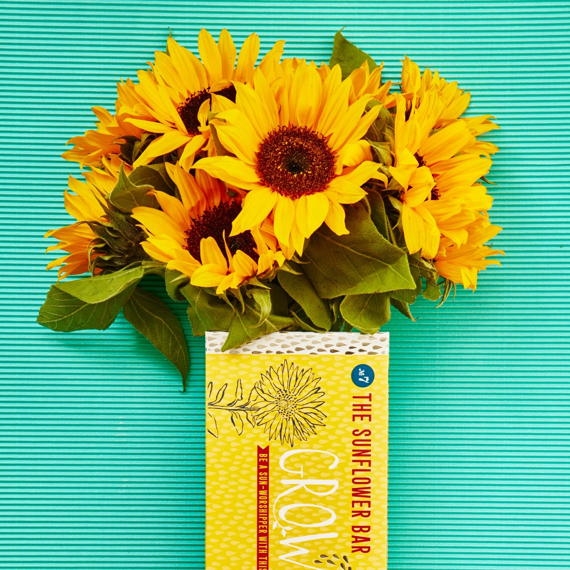 Growbar- The Sunflower Bar - Image 2