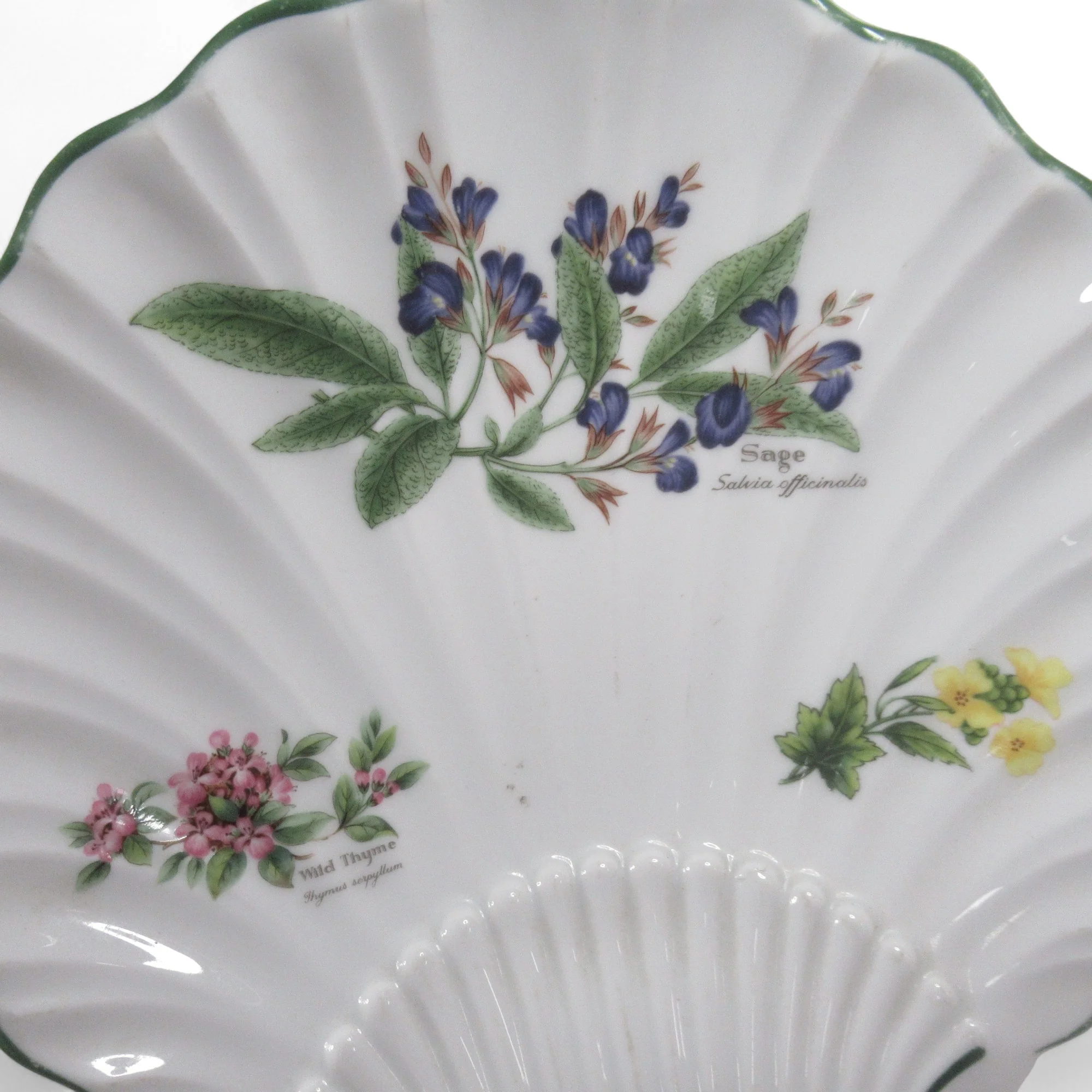 Royal Worcester 1990 Herbs Shell Shaped Dish Porcelain 9" | Pre-loved - Image 3