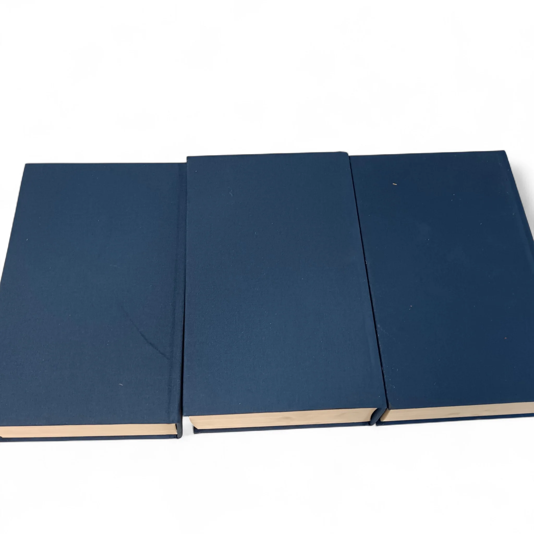 Butterworth Stone's Justices Manual 2006 Volumes 1-3  | Preloved - Image 4