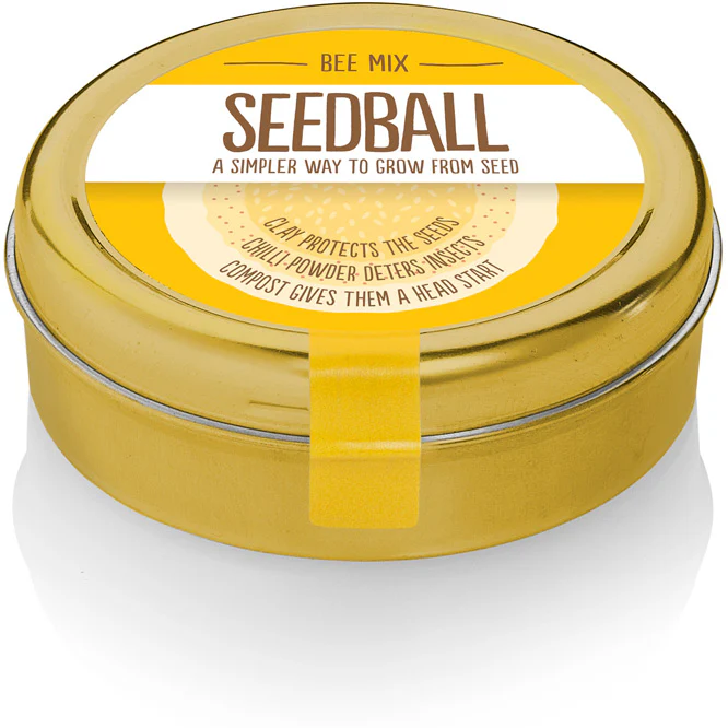 Seedball - Bee Mix - Image 4