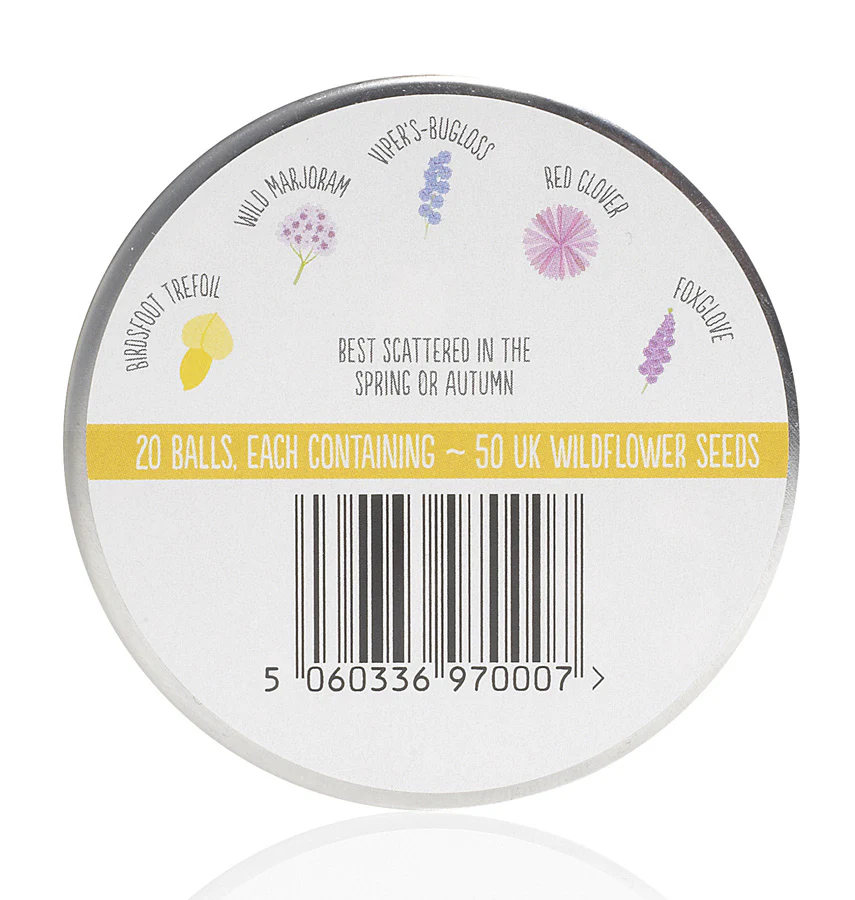 Seedball - Bee Mix - Image 7