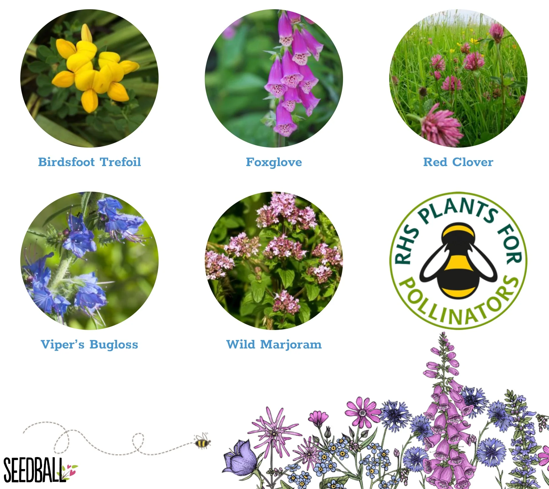 Seedball - Grab Bag- Bee Mix - Image 3