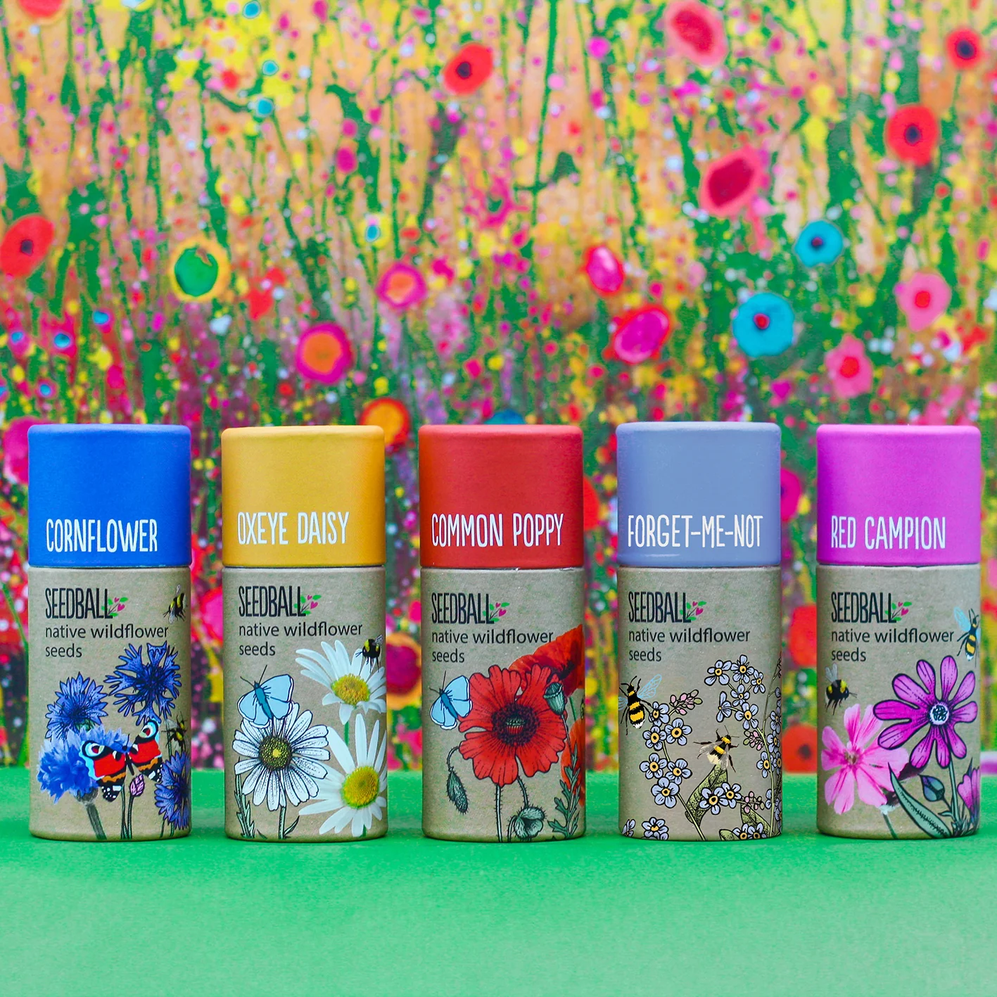 Seedball Tubes - Cornflower - Image 2