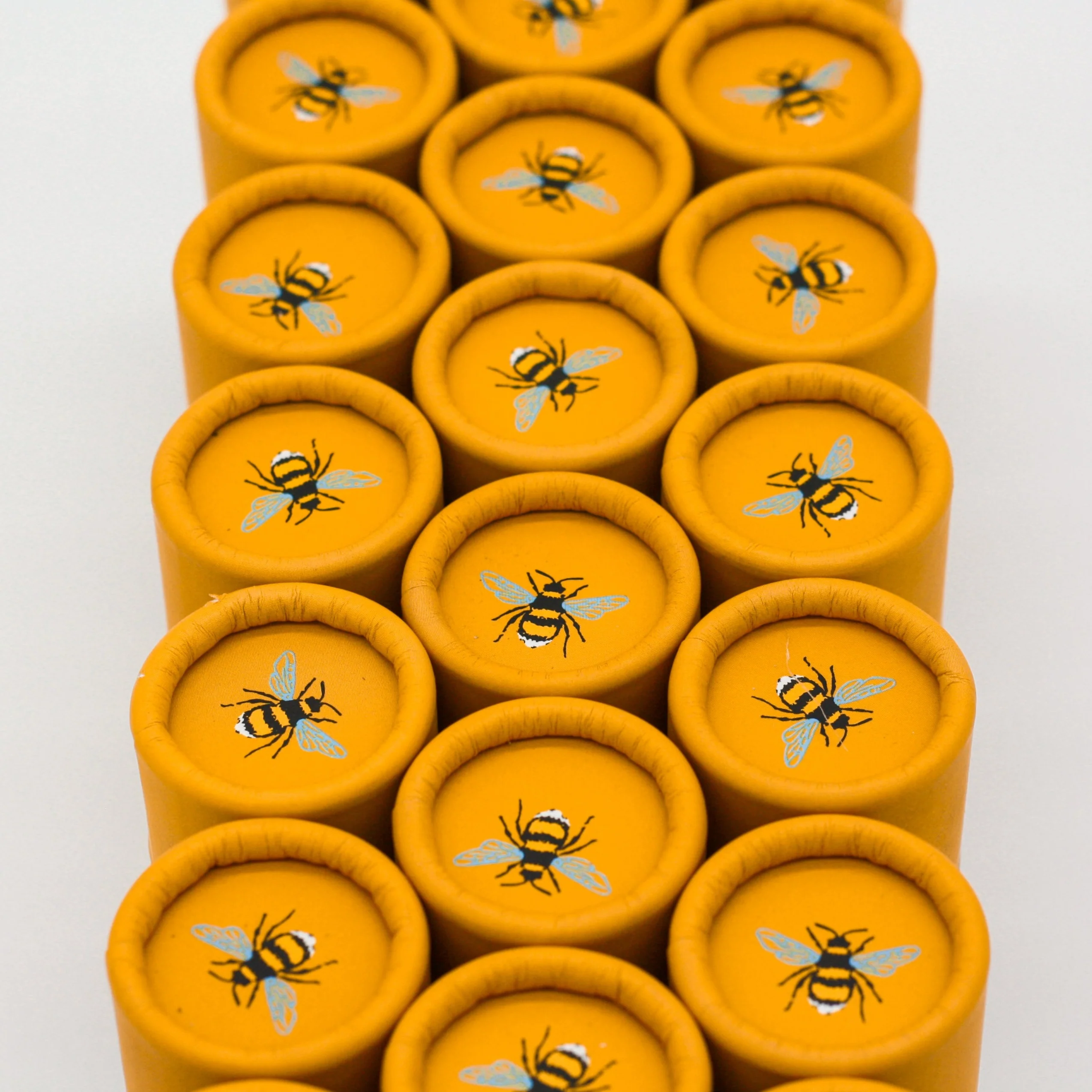 Seedball Tubes - Oxeye Daisy Mix - Image 3