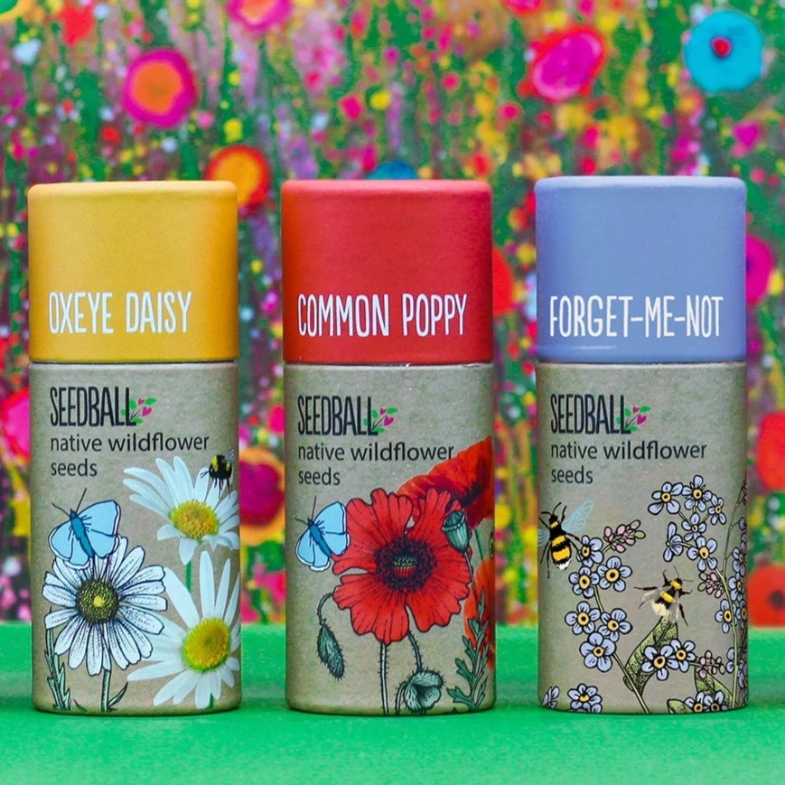 Seedball Tubes - Poppy Mix - Image 4