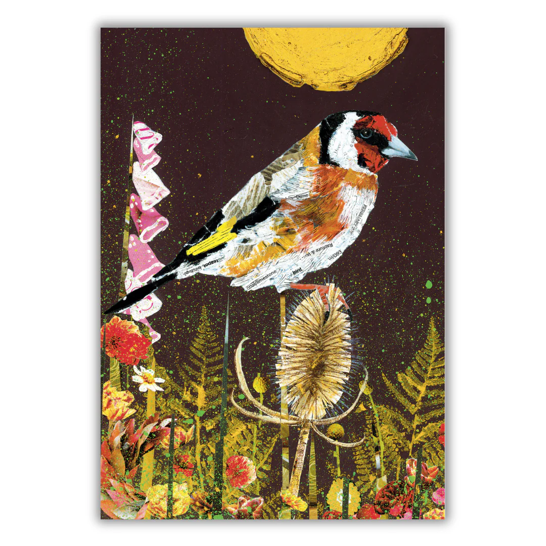 Set of 4 illustrated greeting cards | Adam James Severn - Image 2