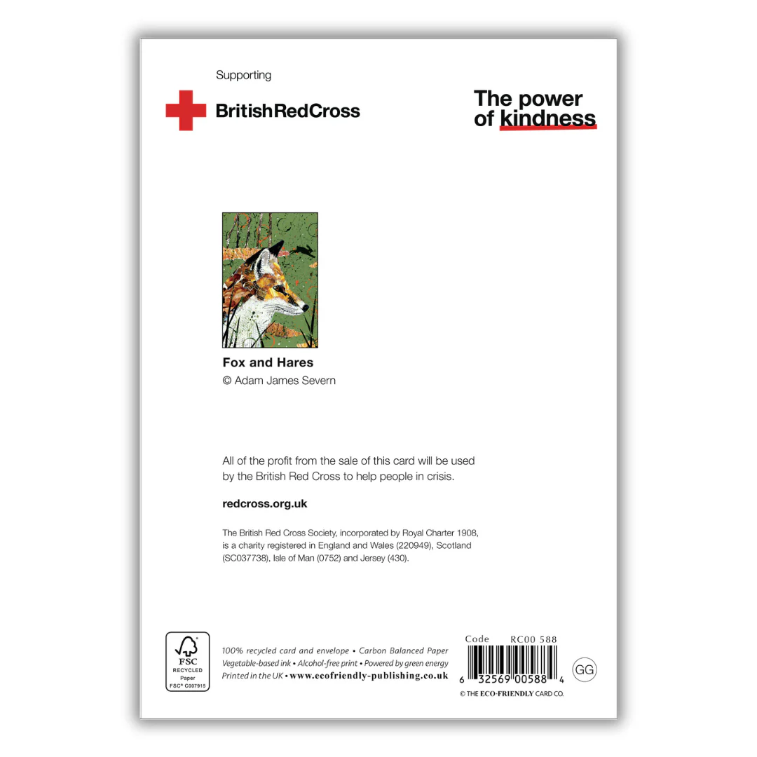 Set of 4 illustrated greeting cards | Adam James Severn - Image 3