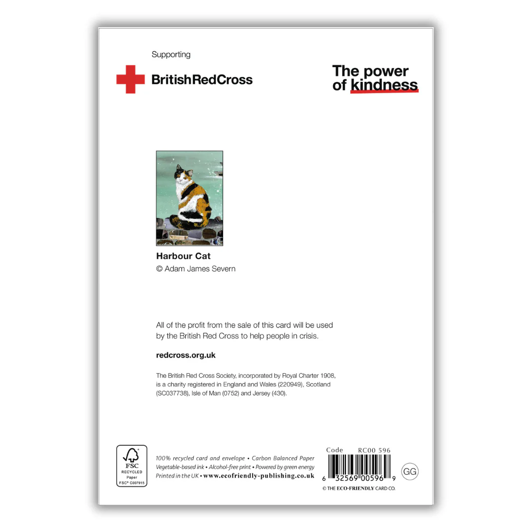 Set of 4 illustrated greeting cards | Adam James Severn - Image 5