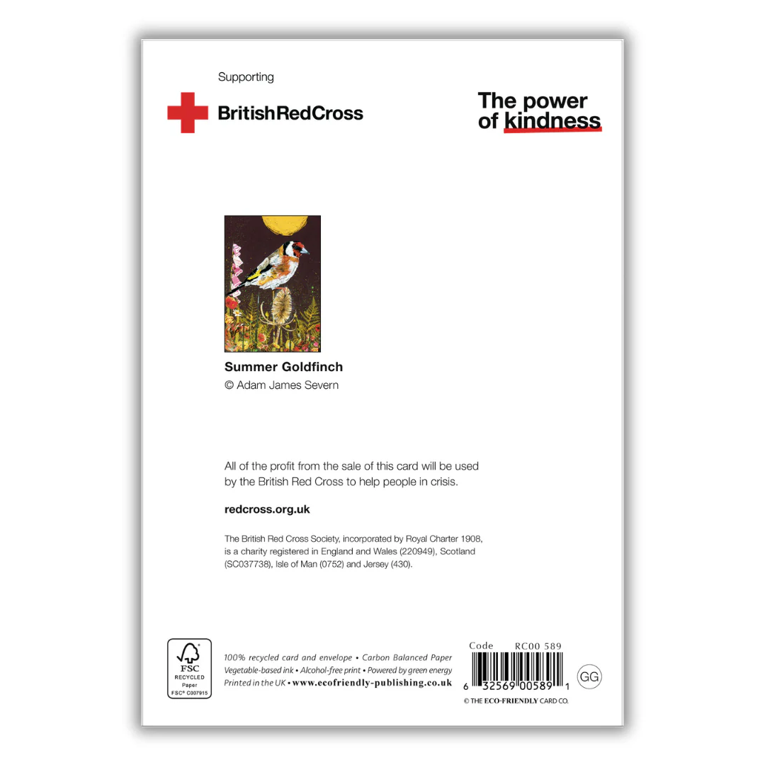 Set of 4 illustrated greeting cards | Adam James Severn - Image 9