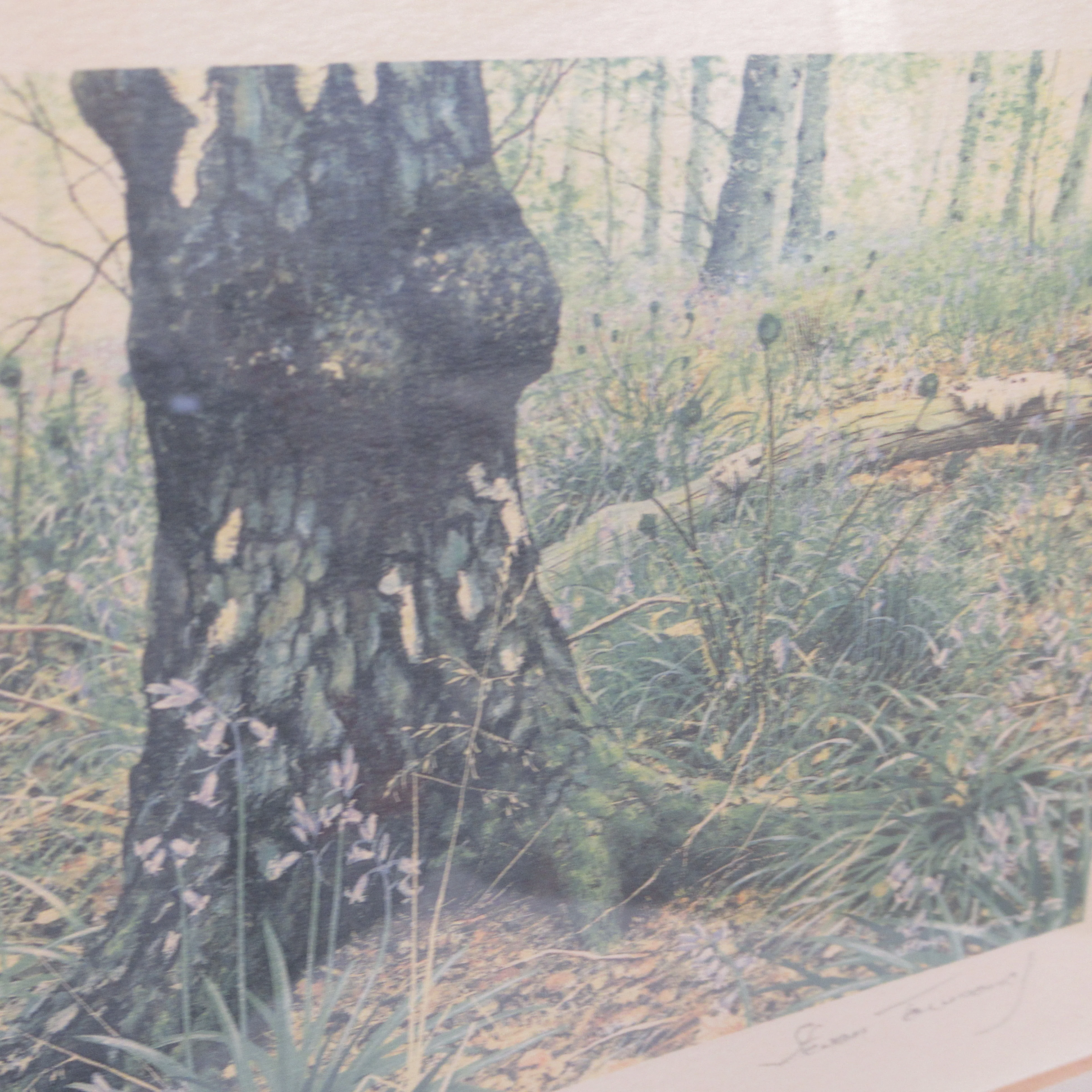 Steven Townsend Landscape Art Print 118/650 Framed L3 | Pre-Loved - Image 4