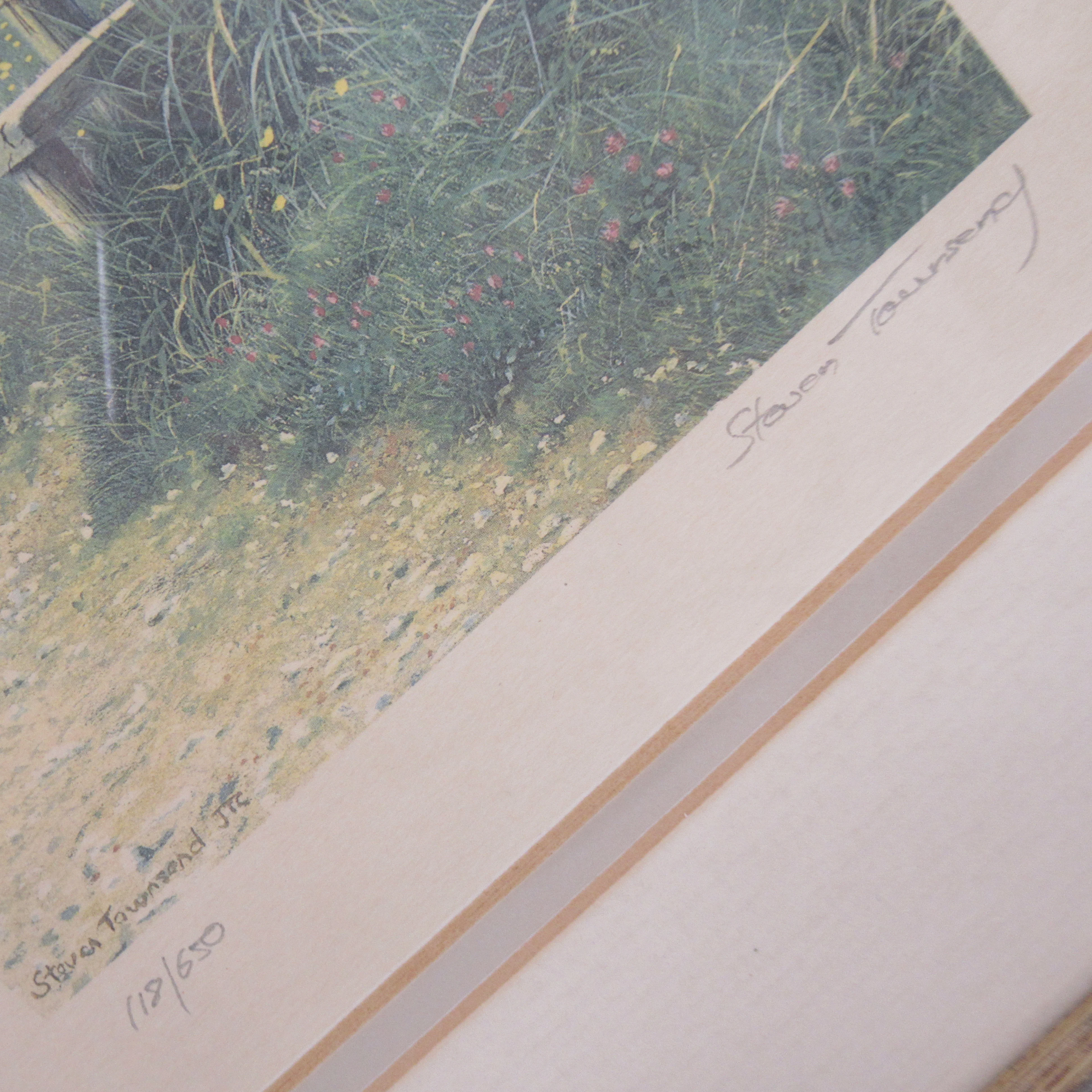 Steven Townsend Landscape Art Print 118/650 Framed L2 | Pre-Loved - Image 3