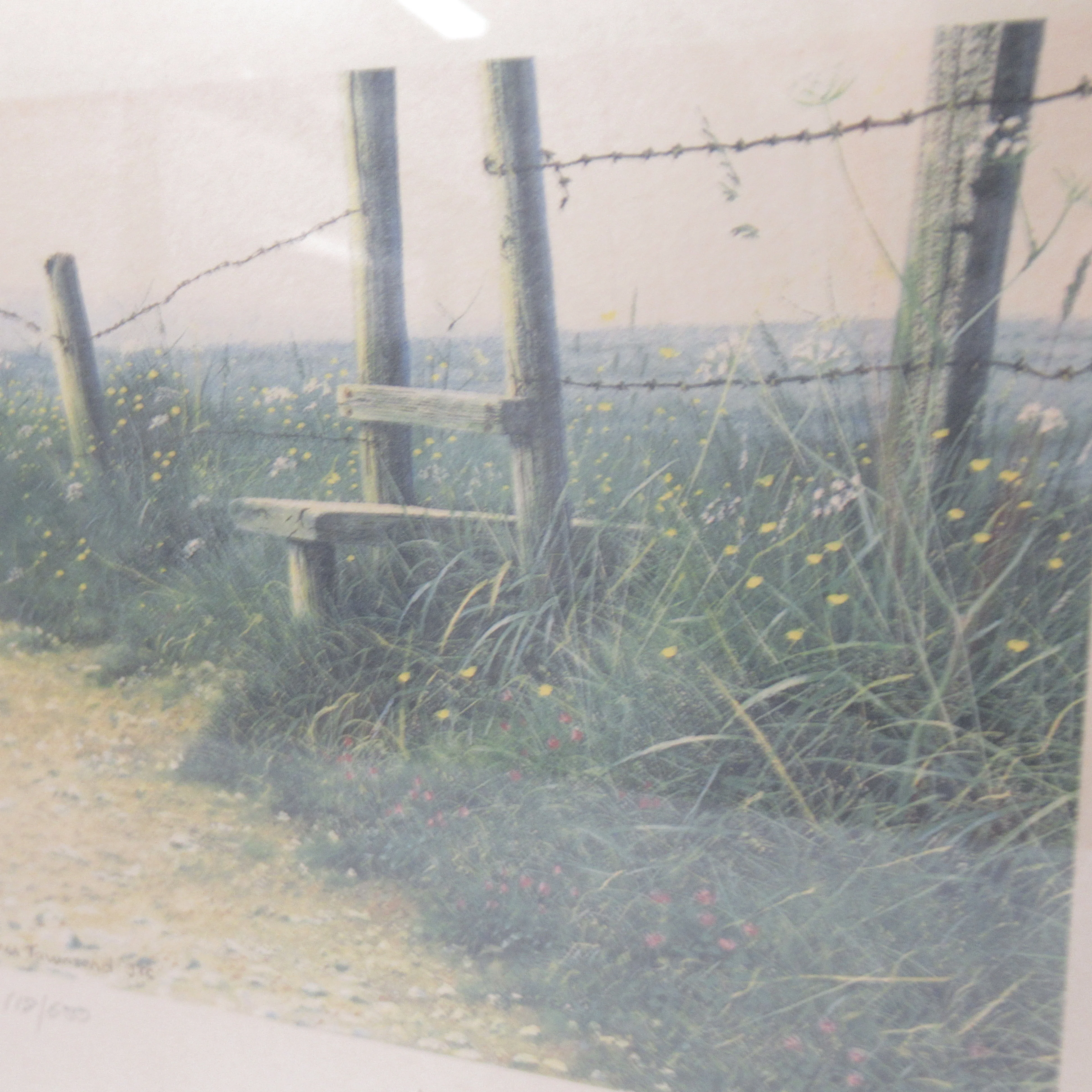 Steven Townsend Landscape Art Print 118/650 Framed L2 | Pre-Loved - Image 4