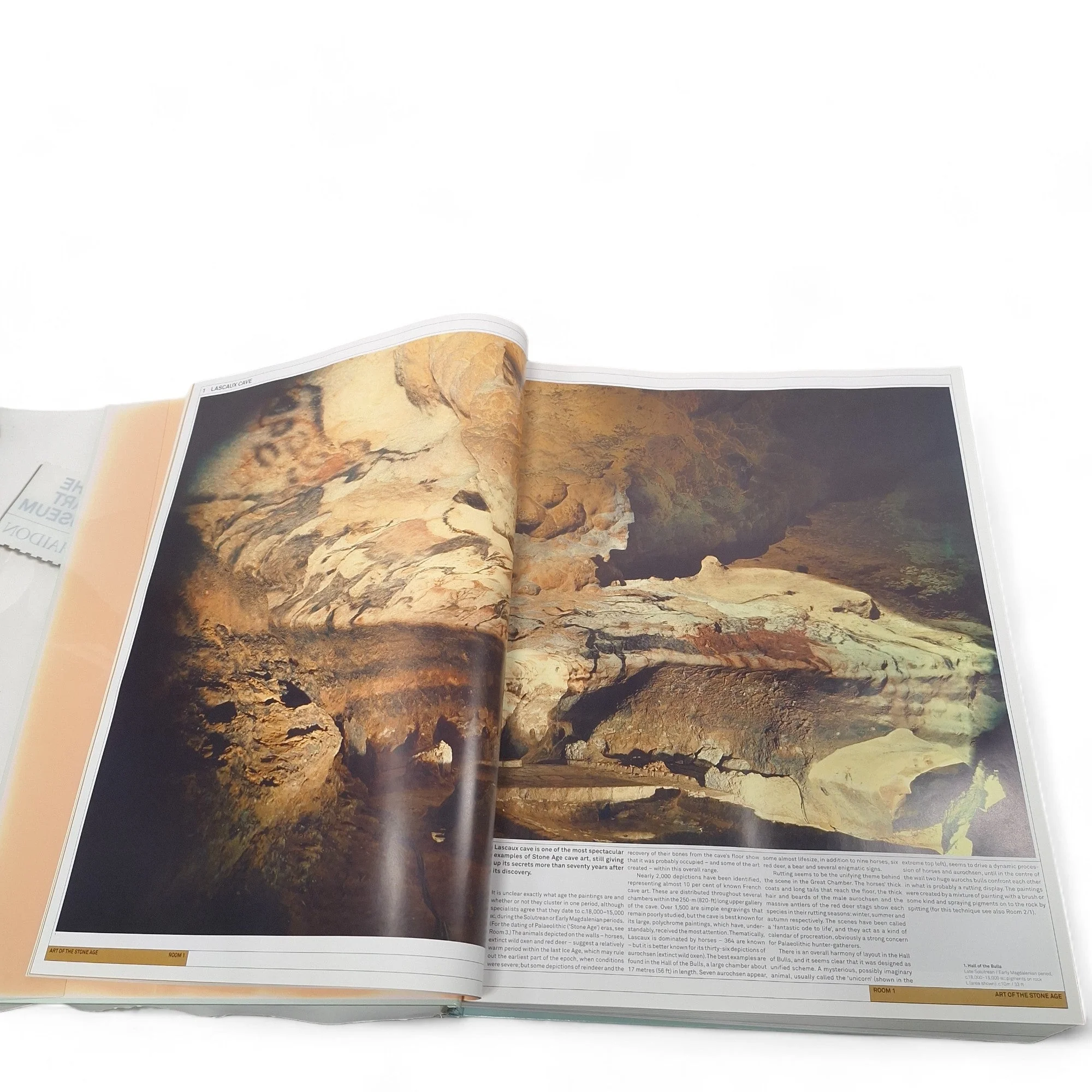 The Art Museum Phaidon Hardcover Book 2011 | Preloved - Image 5