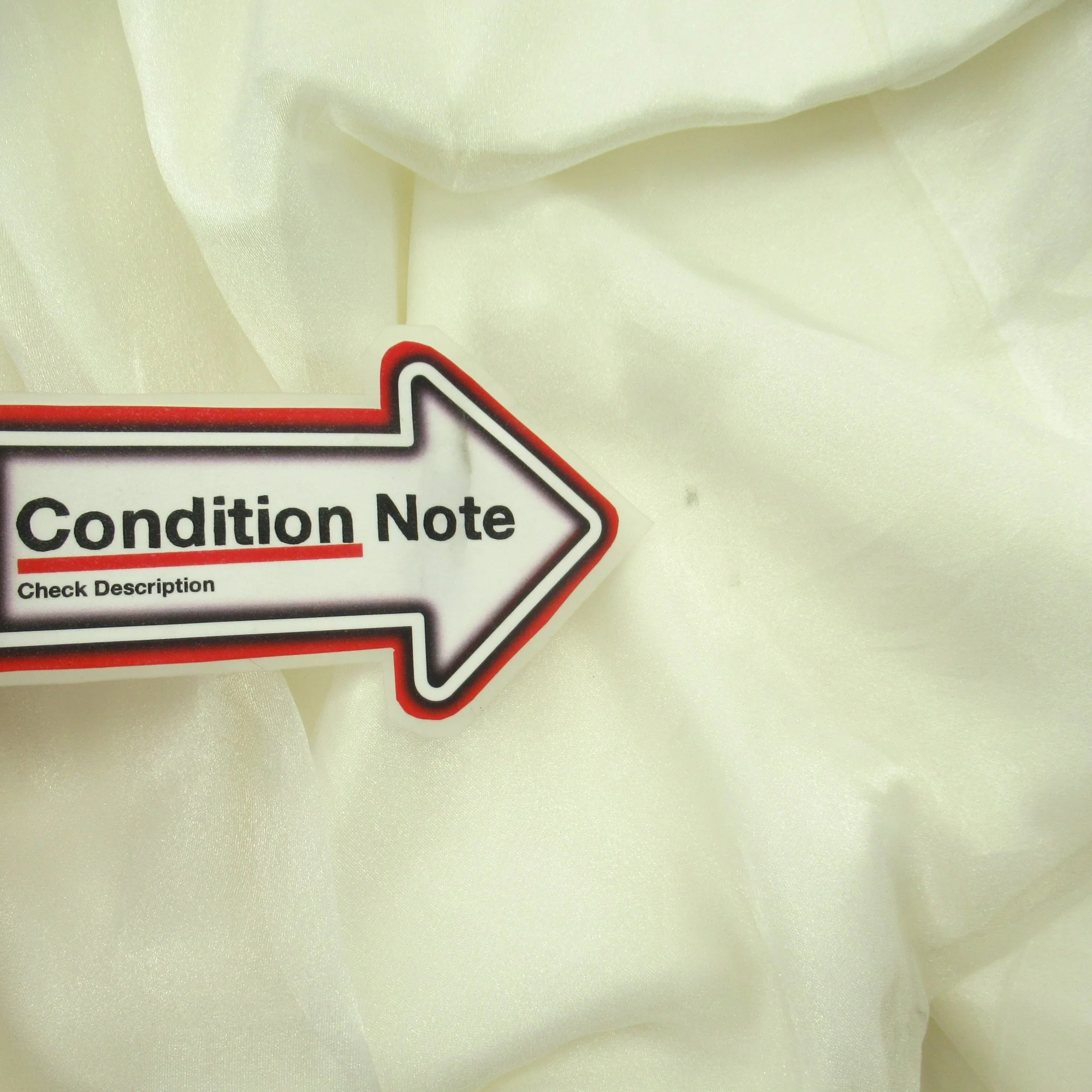 The Bridewear Company Wedding Dress Ivory 10 Womenswear | Pre-loved - Image 6