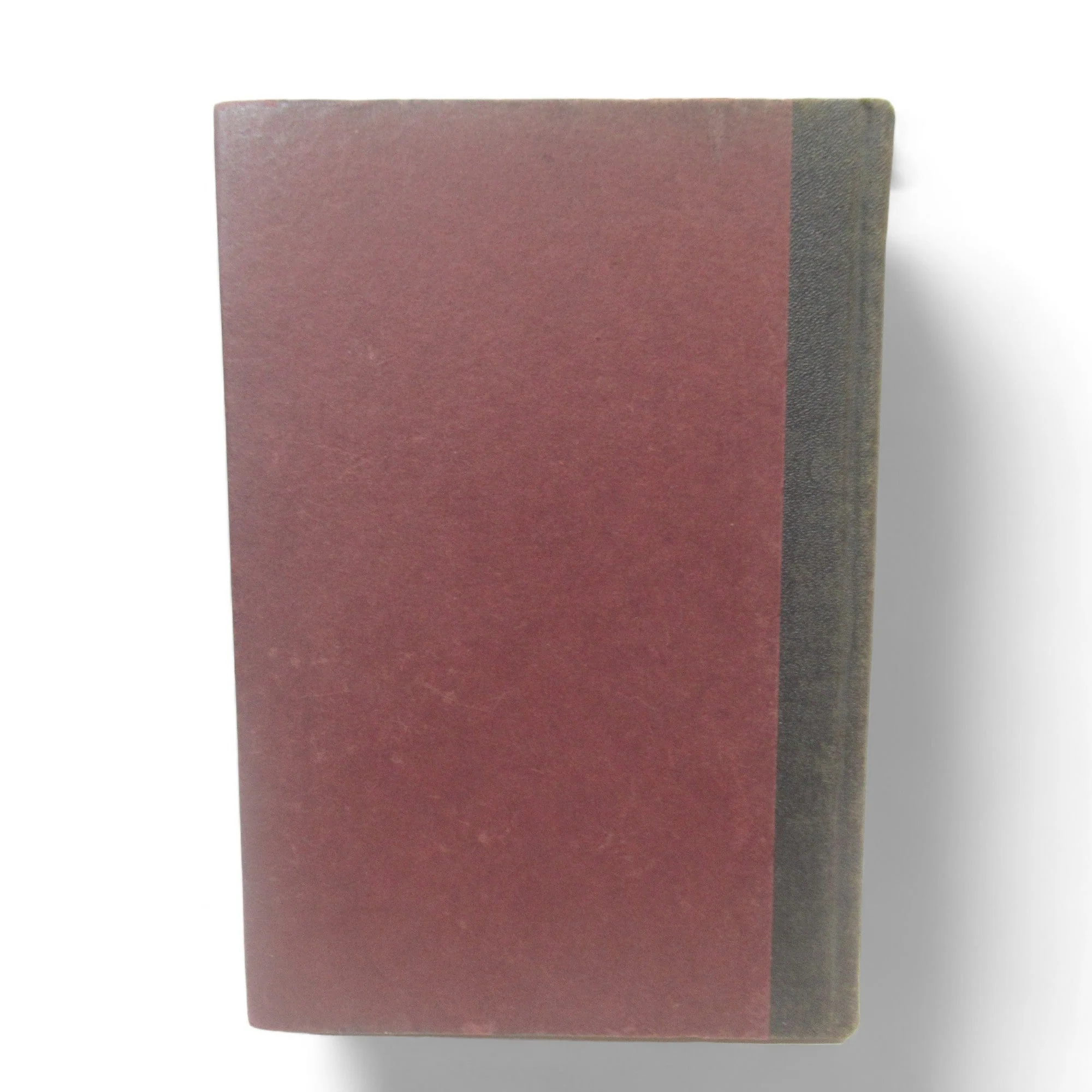 The Wings of Oppression by Leslie P Hill 1921 | Preloved - Image 3