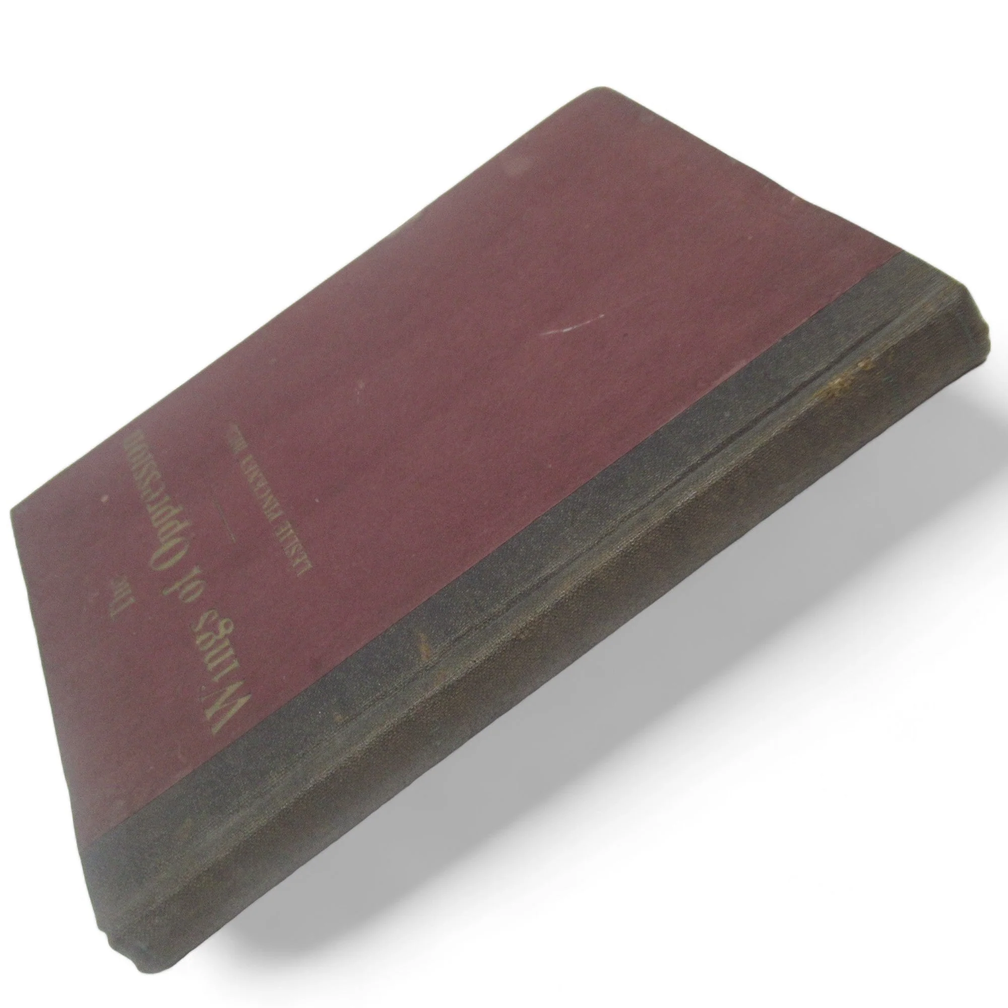 The Wings of Oppression by Leslie P Hill 1921 | Preloved - Image 4